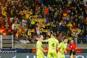 A crowd at a Wellington Phoenic A-League game waving McDonalds supporter scarves from Novelli